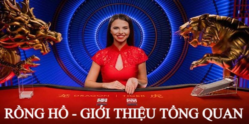 Giới thiệu siêu phẩm Rồng Hổ là gì?