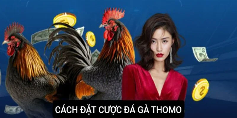 Các bước cá cược chi tiết