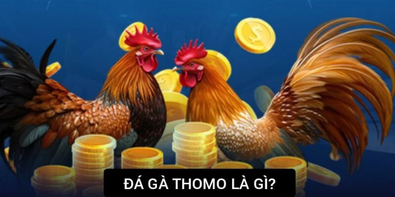 Giới thiệu về đá gà Thomo