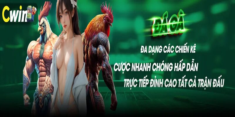 Đầy đủ các thể loại mới lạ tại đá gà cwin